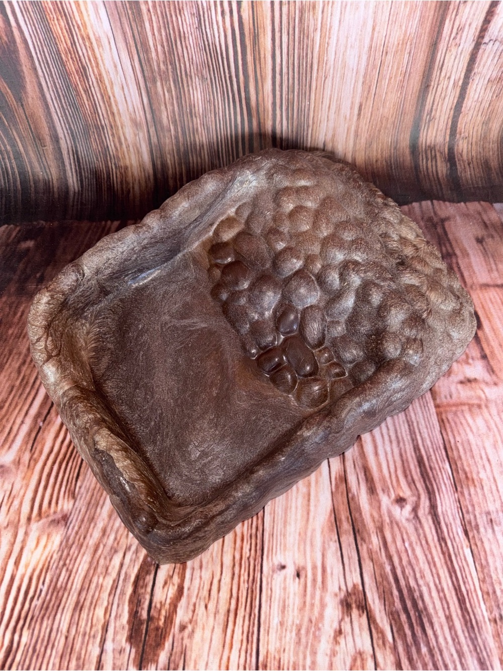 Terrassic Terrarium Décor, Ramp Bowl, Extra Large - Picture 4 of 8